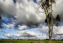 开云下载-风暴巴塞尔！10人奥地利铁血逆转47年等待终结者诞生