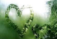 开云官网-鹿岛鹿角调整后防线，迎战欧洲豪门难度加大