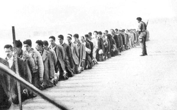 开云体育下载-阿尔及利亚队在比赛中遭受重创，寻找突破口