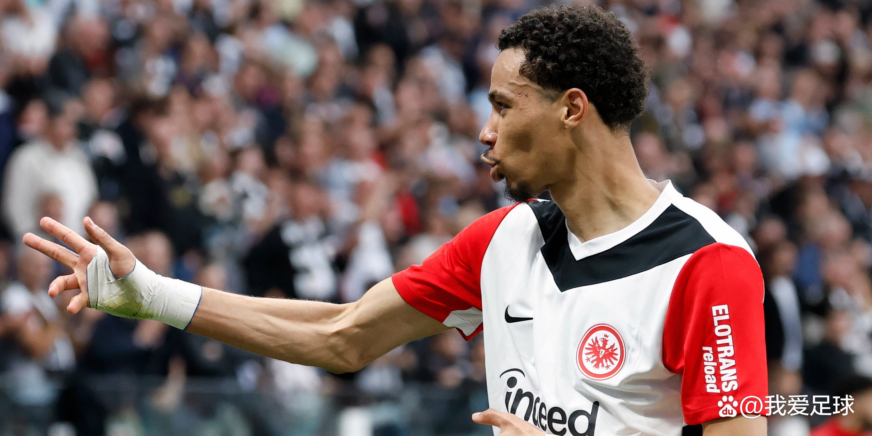 包含法兰克福新晋新星大放异彩,赢得球迷称赞的词条 包含法兰克福新晋新星大放异彩,赢得球迷称赞的词条