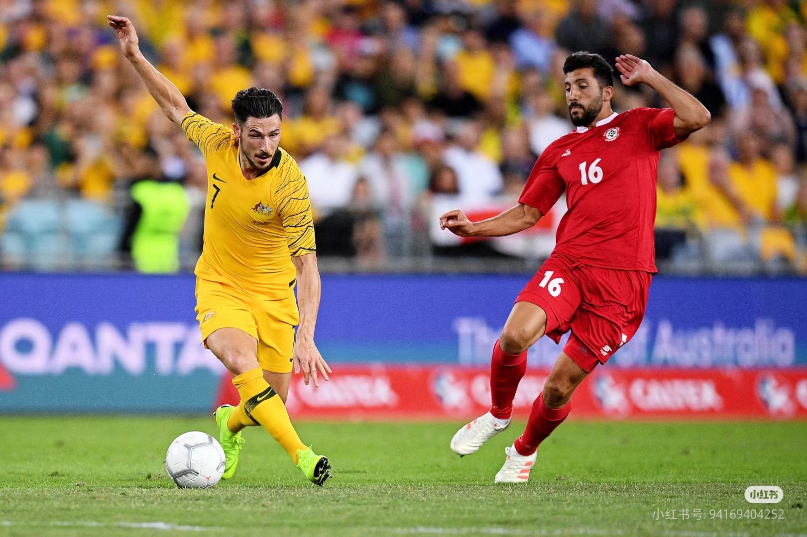 欧锦赛预选赛热爆开战,球队备战备战 欧锦赛预选赛热爆开战,球队备战备战