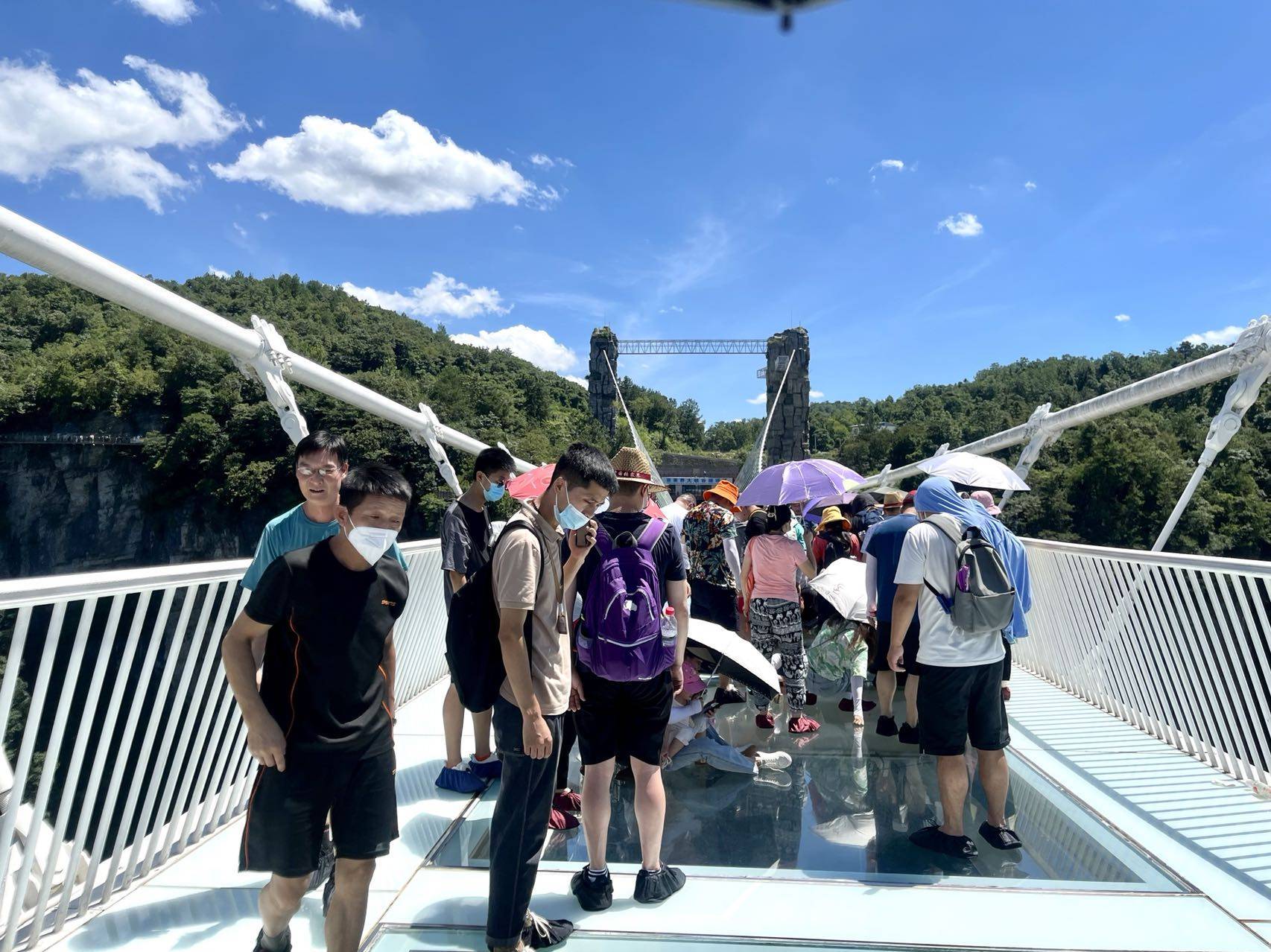 TSM绝杀DFM，Scout极限生还后反打峡谷大战四强赛，让粉丝疯狂欢呼的简单介绍