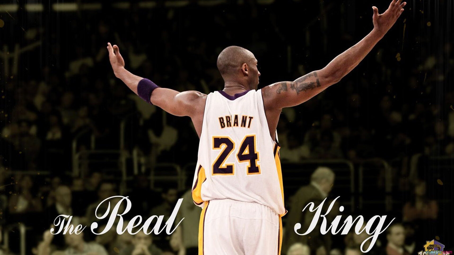 开云平台-指挥家霍勒迪，用慢板乐章肢解灰熊利齿