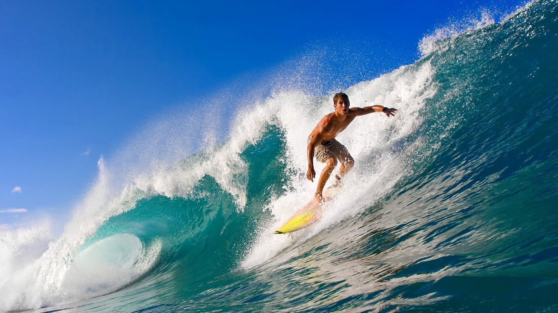 绿茵启示录，弗拉霍维奇点燃巨星之路，加拿大映射足坛新秩序